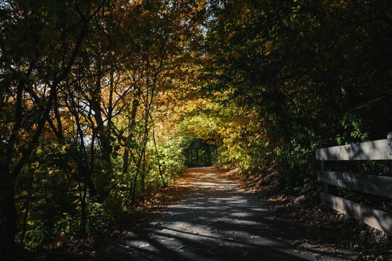 Things to Do in Oakville, ON: 10 Fun Outings for Locals and Visitors