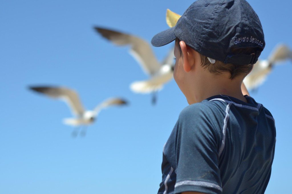 toddler watching birds fly in clear blue sky